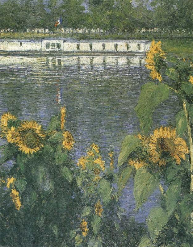 Gustave Caillebotte The sunflowers of waterside Spain oil painting art